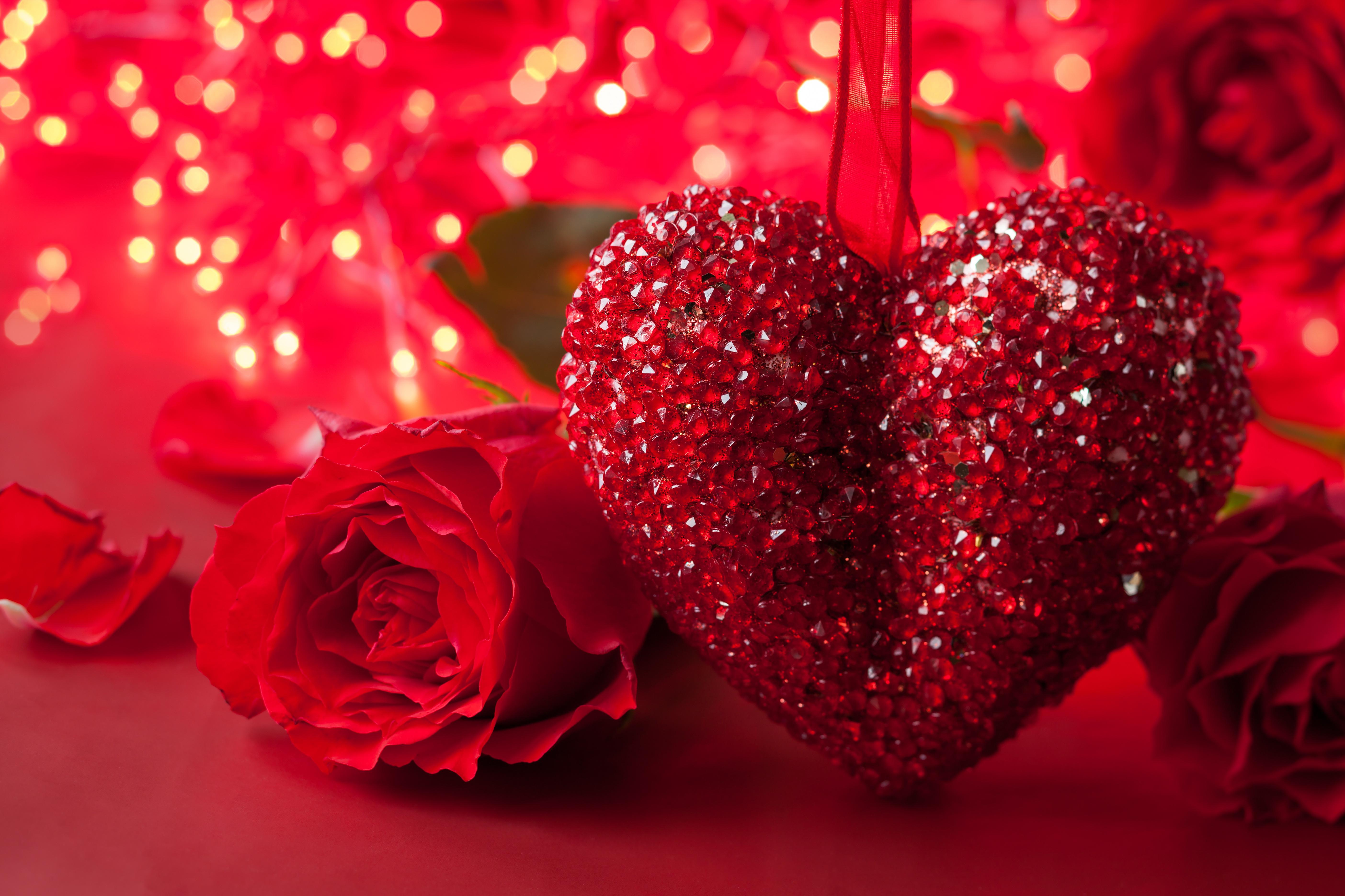 pic Heart Rose Love Pictures Download 744 i love you red heart rose photos