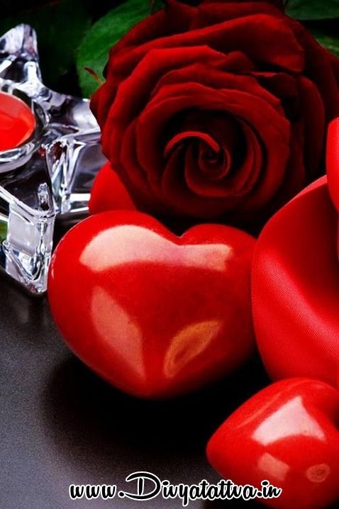 wallpapers Heart Rose Love Pictures Download romantic red rose heart wallpaper