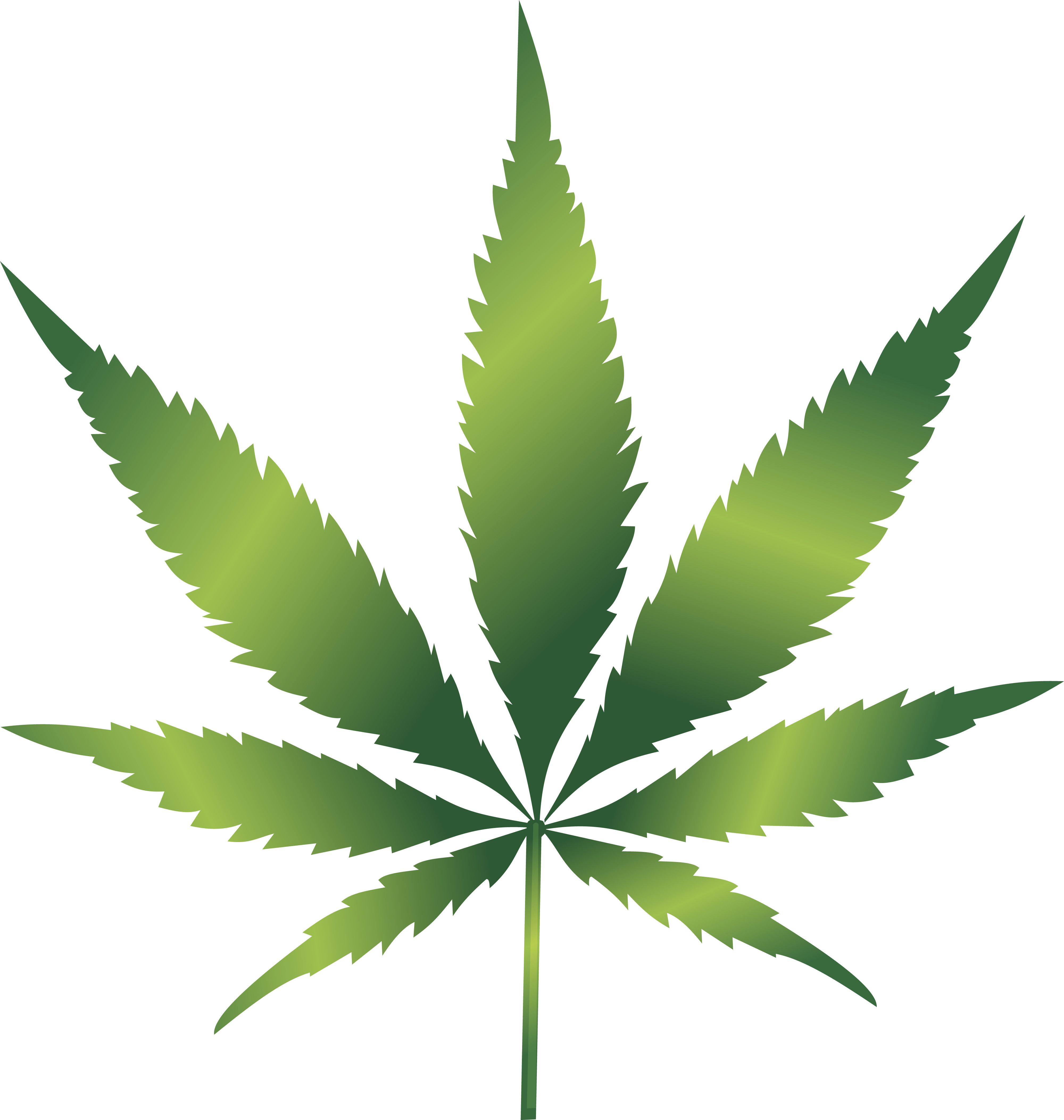 images Hemp Leaf Clip Art green hemp leaf clip art at clker