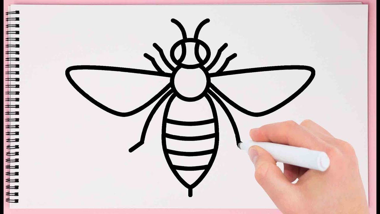 photo Honey Bee Images For Drawing how to draw a cartoon bee 12 steps