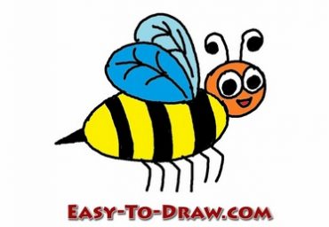 pix Honey Bee Images For Drawing honey bee drawing