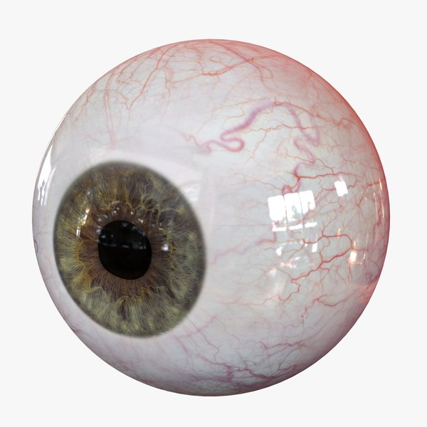 pics Human Eye 3D Image vectorstock