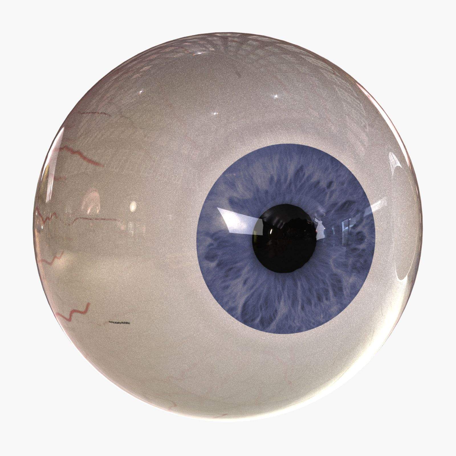 photo Human Eye 3D Image human eye cross section eyeball 3d model