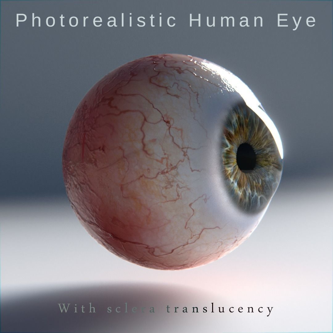 picture Human Eye 3D Image human eye photorealistic 3d model
