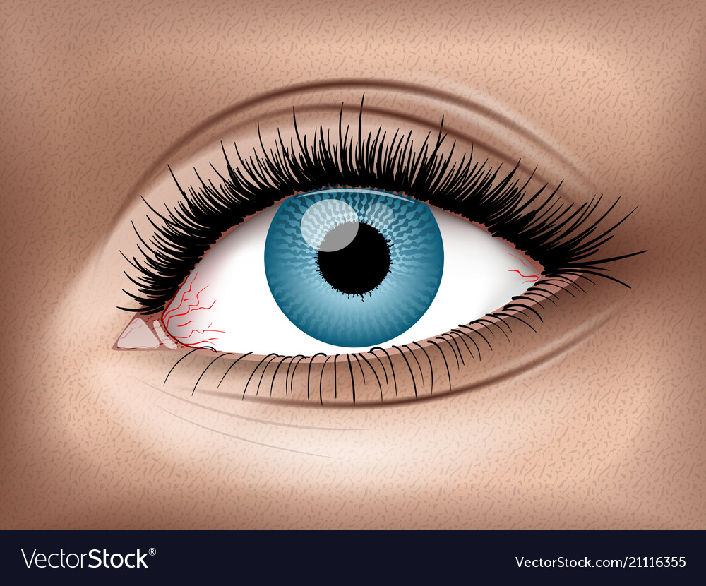picture Human Eye 3D Image realistic human eye 3d turbosquid 1335955