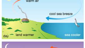 pix Images Of Land Breeze And Sea Breeze https www alamy com diagram of sea breeze with land and water illustration image274562306 html