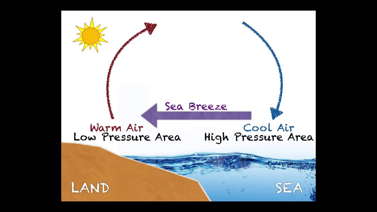 pics Images Of Land Breeze And Sea Breeze vectormine