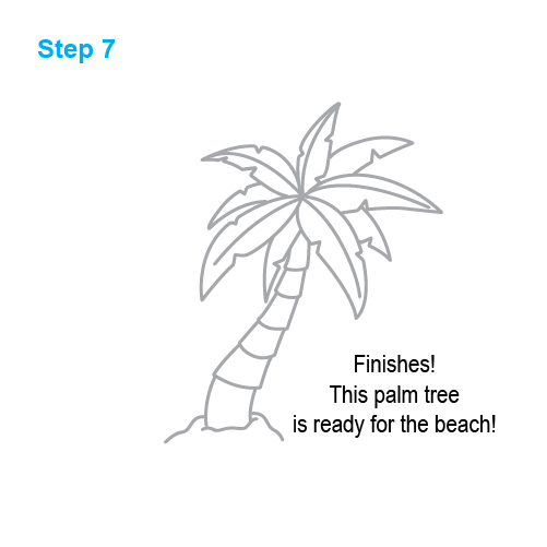 photo Images Of Palm Trees To Draw how to draw palm tree for kids