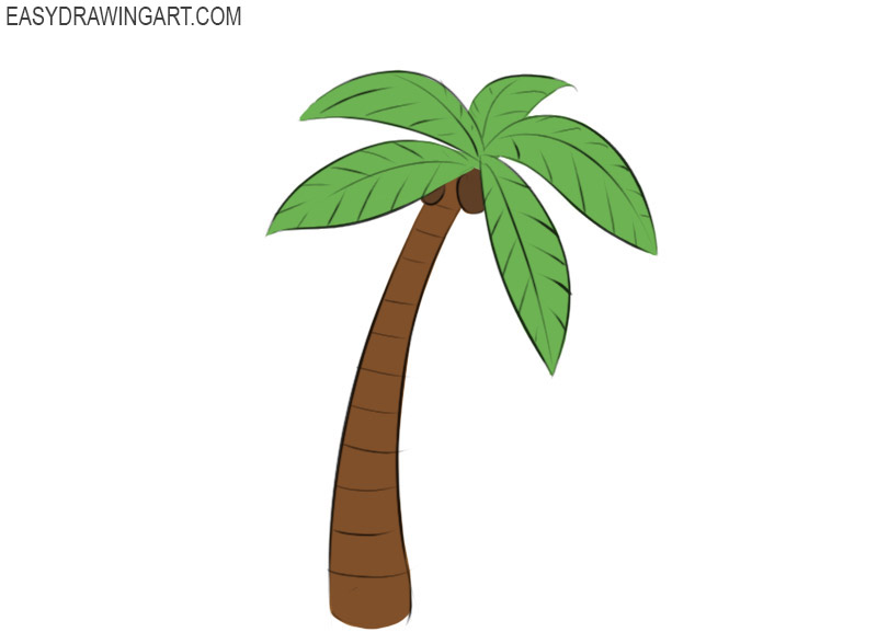 pics Images Of Palm Trees To Draw how to draw a palm tree art projects