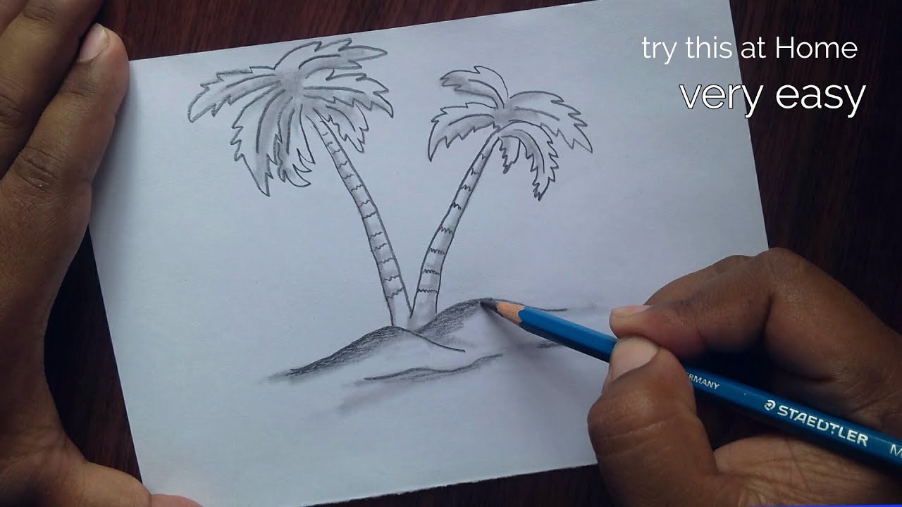 photo Images Of Palm Trees To Draw how to draw a palm tree art projects