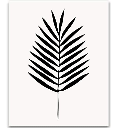 photo Leaf Picture Black And White white leaf clip art png