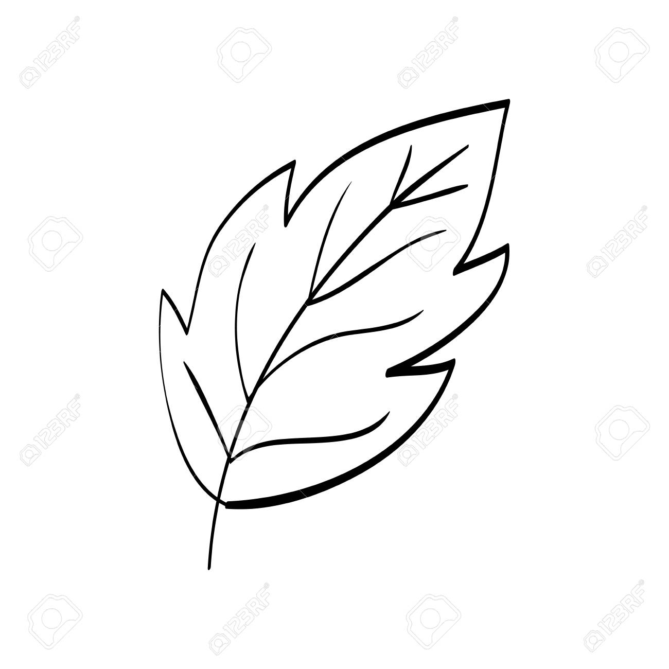 wallpapers Leaf Picture Black And White https keithdotson com products fallen leaf on bright background black and white photograph dsc03060a