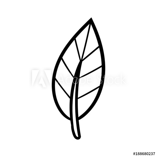 pix Leaf Picture Black And White beautiful leaf in black and white icon vector illustration graphic