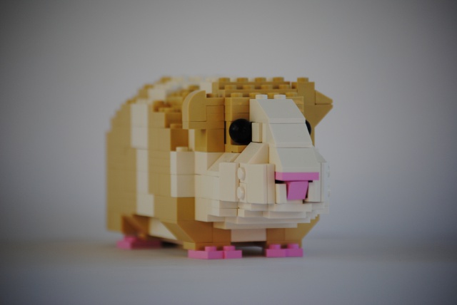 pix Lego Guinea Pig lego guinea pig building instructions
