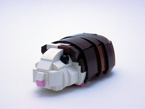 pix Lego Guinea Pig eurobricks
