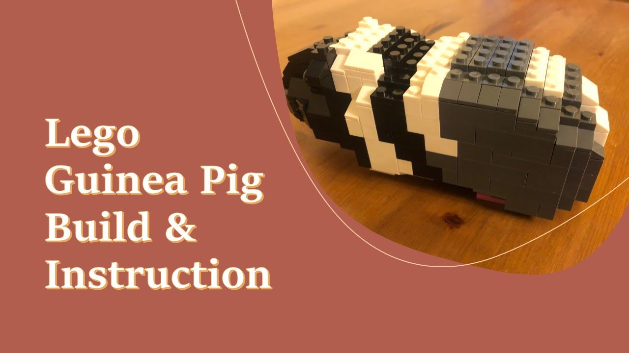 images Lego Guinea Pig lego guinea pig archives the brothers