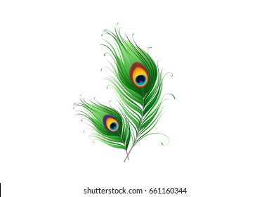 photo Morpich Logo peacock feather images free vectors