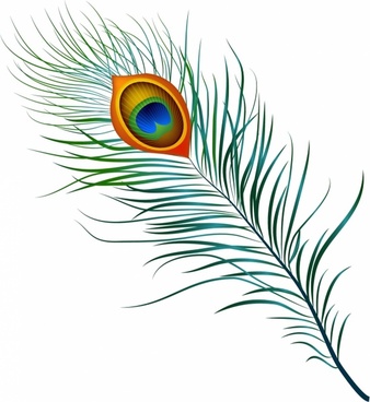 photo Morpich Logo https pngtree com freepng janmashtami peacock feather label 4945384 html