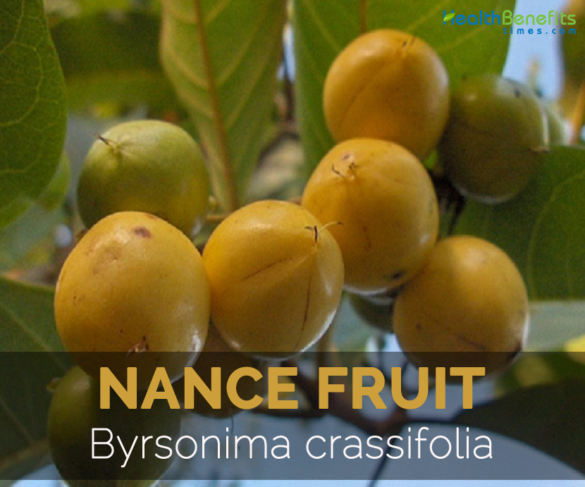 pics Nache Fruit 3rdarm biz