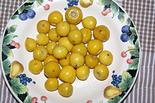 images Nache Fruit byrsonima crassifolia wikipedia