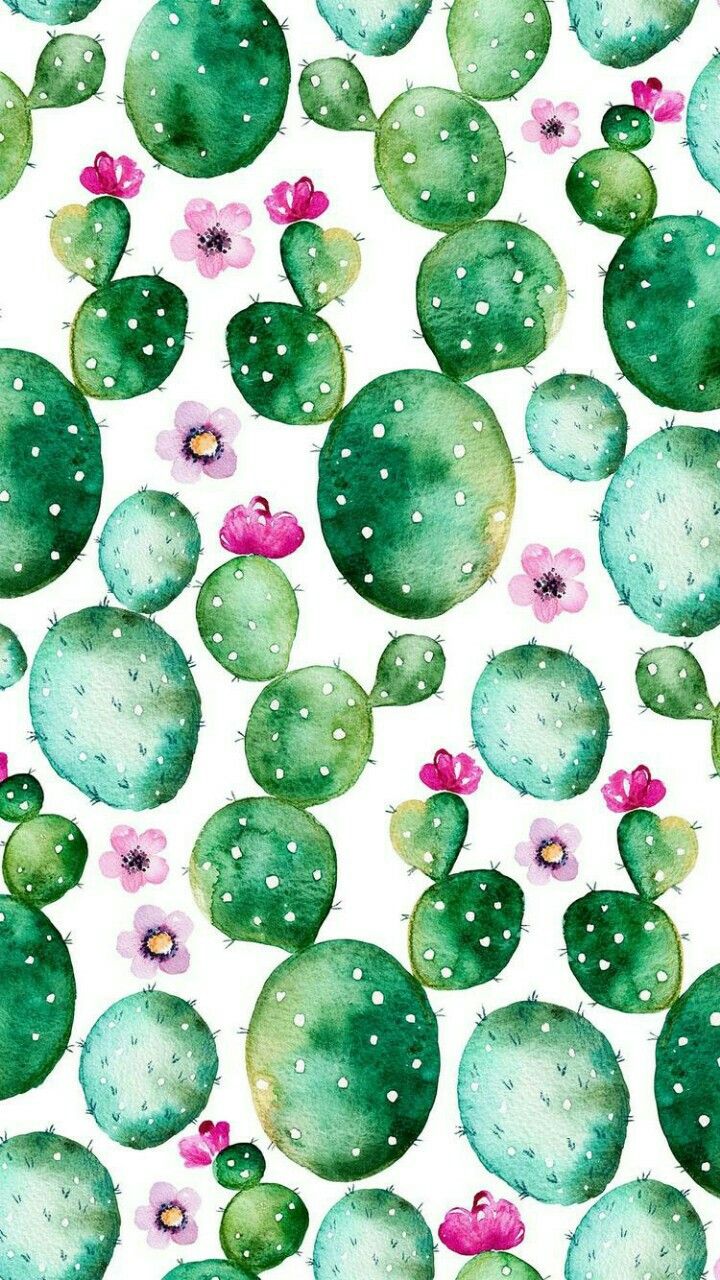 images Nopal Wallpaper tumblr iphone wallpaper
