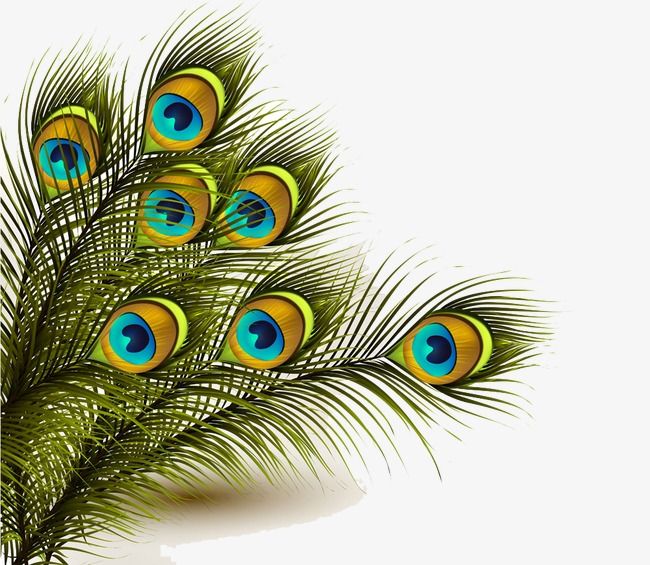 photo Peacock Pankh Png peacock feathers mor pankh png file