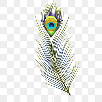 pics Peacock Pankh Png mor pankh clipart peacock feather png