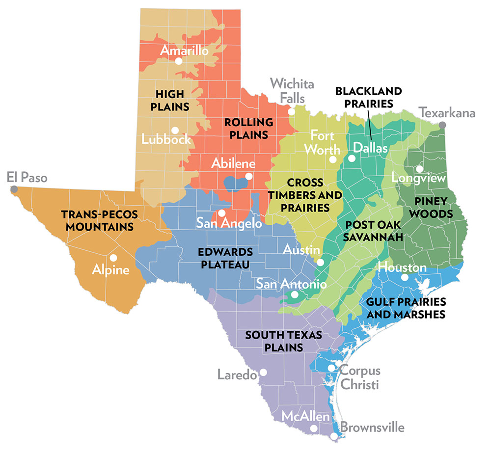 picture Piney Woods Texas Map texas invasives