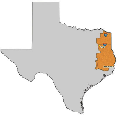 pic Piney Woods Texas Map texas baptist camping association