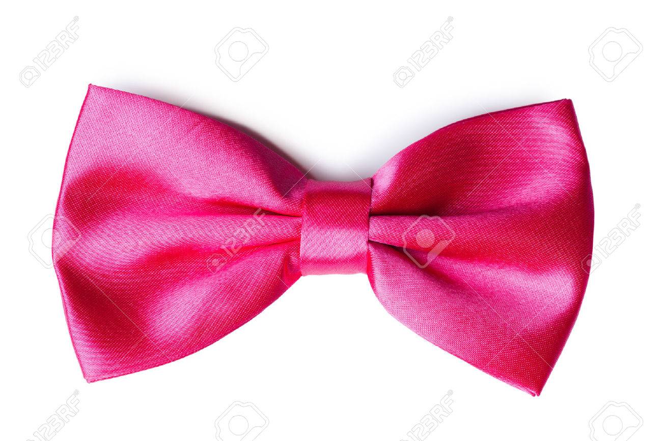 pics Pink Bow White Background vectorstock