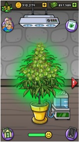 pic Pot Farm Download download bud farm grass roots mod apk
