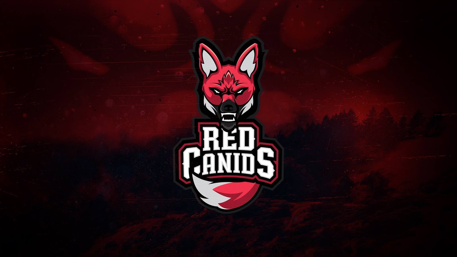 photo Red Canids Logo wallpaper red canids by stonexdesign on