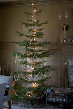 photo Silver Tip Fir Christmas Tree 6 silvertip christmas tree