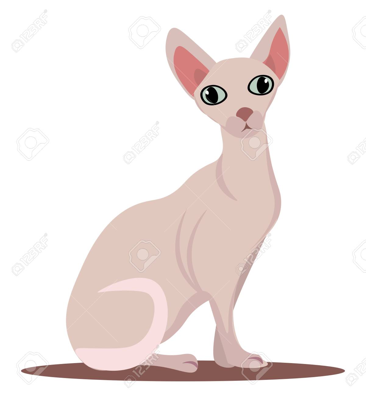 picture Sphynx Cat Clipart 711 sphynx hairless cat illustrations clip art