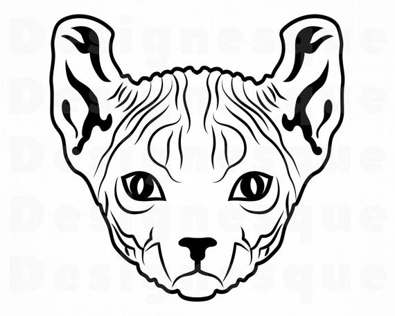 pix Sphynx Cat Clipart https www istockphoto com illustrations sphynx hairless cat