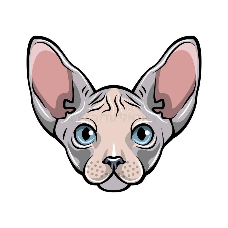 wallpapers Sphynx Cat Clipart fashion vector portraits of elegant sphynx cat heads isolated