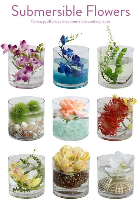 photo Submersible Flowers submerging flowers in water