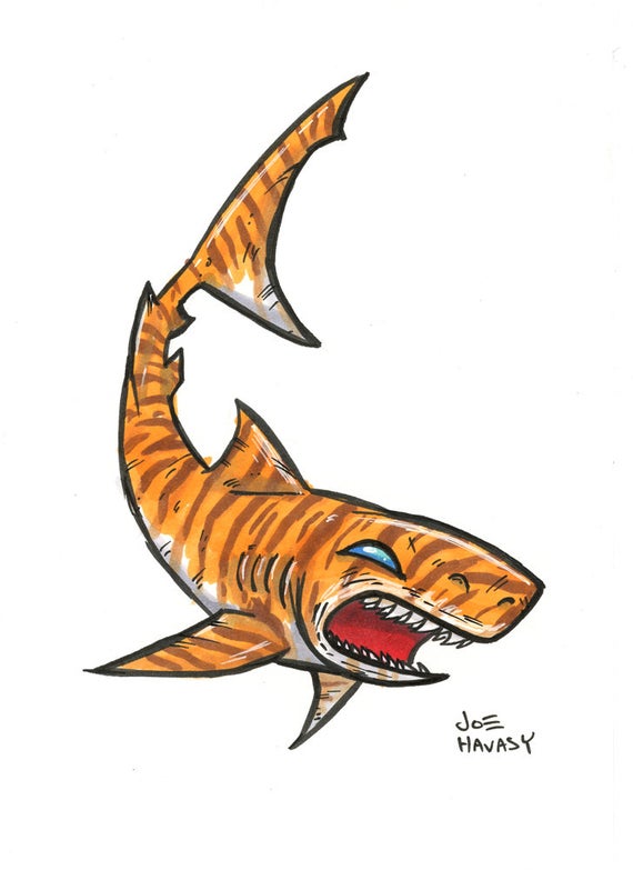 wallpapers Tiger Shark Drawing shark drawing tiger shark shark tattoos