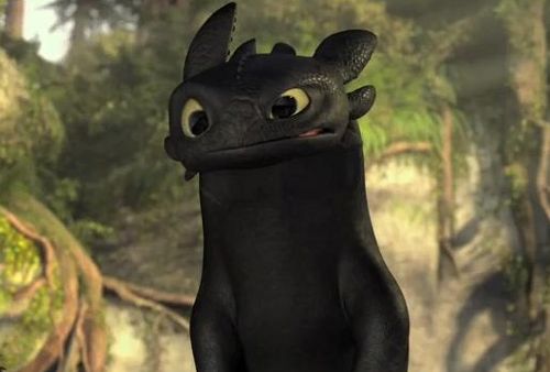 pic Toothless Cat Animation black cats that are actually toothless