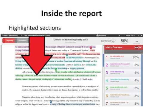 picture Turnitin Green Flag how to interpret the turnitin originality report guidance for students
