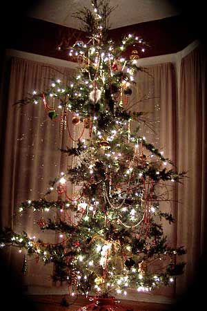 pix Ugly Christmas Tree Pics a dangerous christmas tree