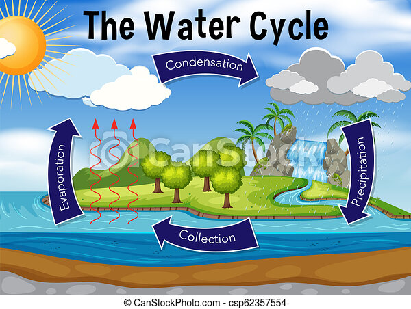 wallpapers Water Cycle Clipart water cycle stock illustrations 7 594