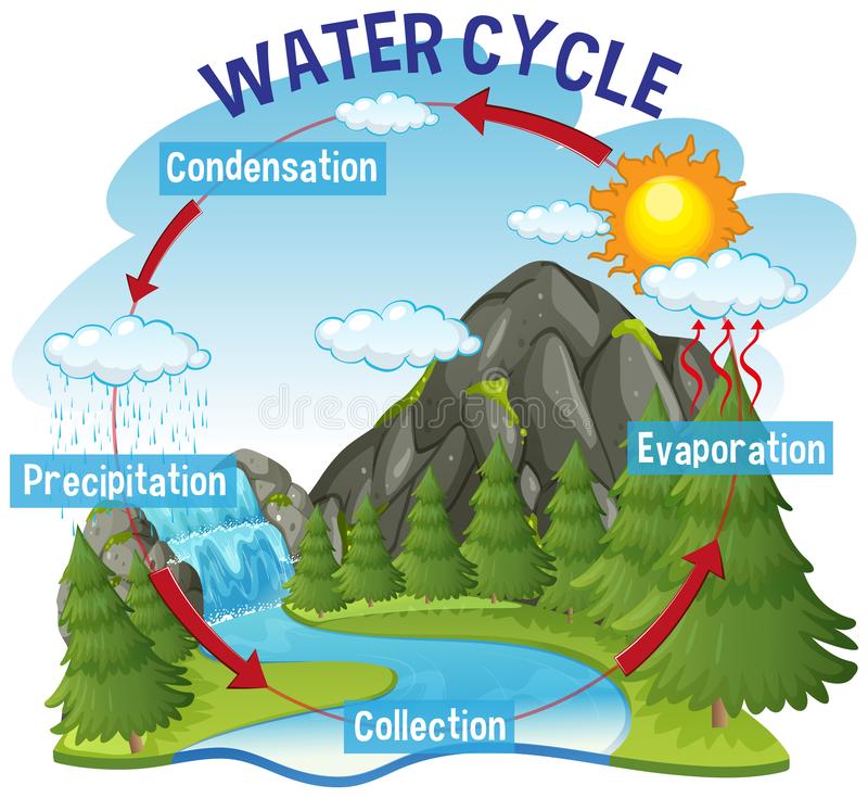 photo Water Cycle Clipart https www canstockphoto com science of water cycle 62357554 html