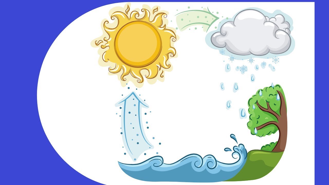 pics Water Cycle Clipart water cycle steps