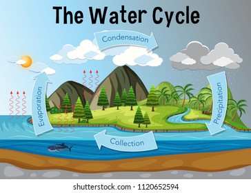 pix Water Cycle Clipart this water cycle clip art set includes