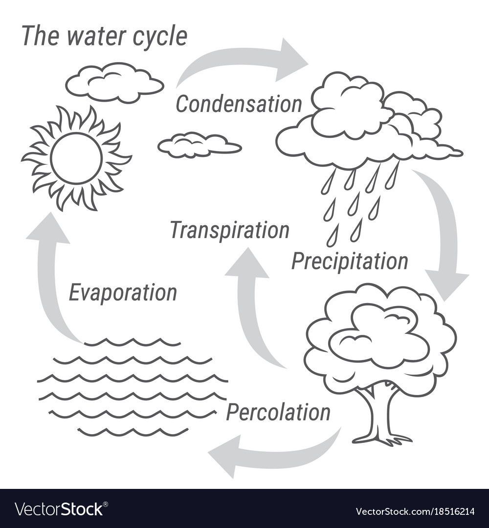 pics Water Cycle Clipart 178 water cycle illustrations clip art