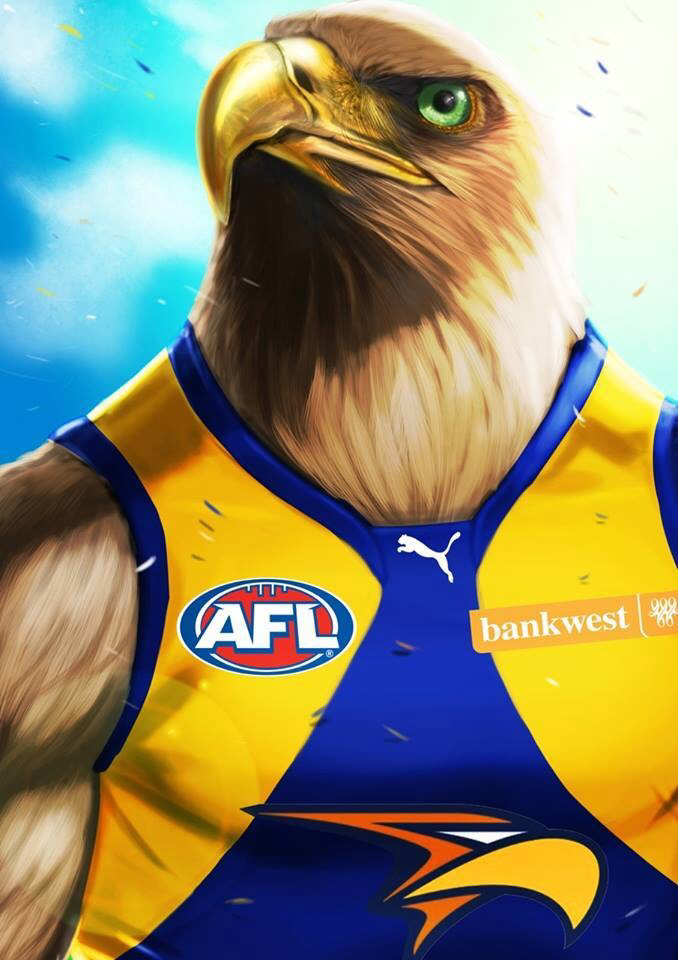 picture West Coast Eagles Wallpaper west coast eagles wallpaper wednesday