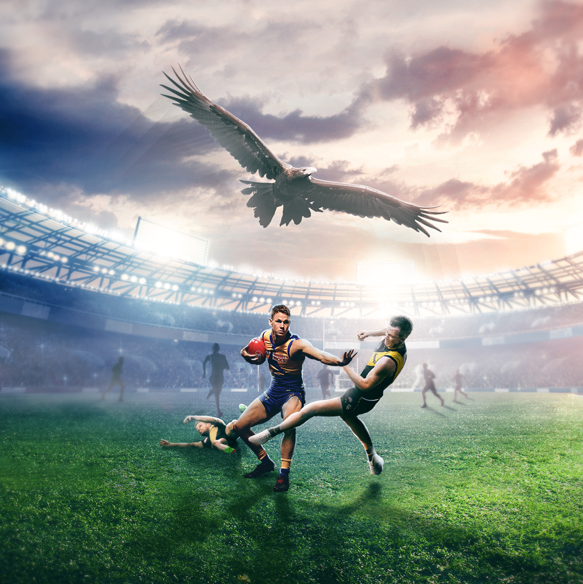 pics West Coast Eagles Wallpaper west coast eagles wallpapers