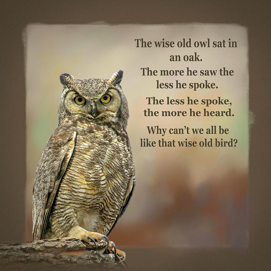 picture Wise Old Owl Poem a wise old owl success origin secret