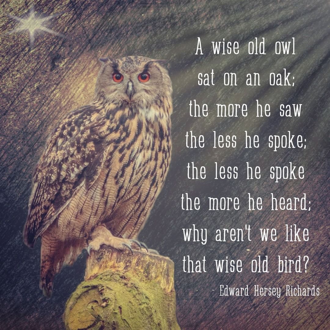 photo Wise Old Owl Poem owl poem owl nursery rhyme owl